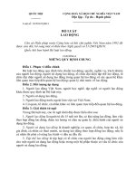 bộ luật lao động hoàn chỉnh