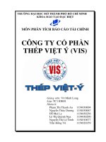 Phân tích báo cáo tài chính công ty cổ phần Thép Việt Ý VIS