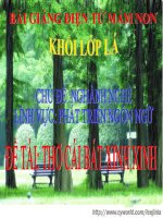 Bài giảng điện tử mầm non lớp Lá đề tài Thơ Cái bát xinh xinh