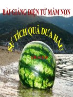 Bài giảng điện tử mầm non lớp Lá đề tài Truyện sự tích dưa hấu