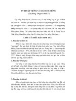 Quy trình kỹ thuật sản xuất cây ôn đới