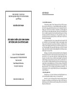 Xây dựng chiến lược kinh doanh bất động sản của Bitexcoland