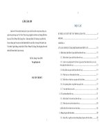 Hoàn thiện pháp luật về giao dịch bảo ñảm trong hoạt ñộng của ngân hàng thương mại Việt Nam