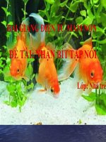 Bài giảng điện tử mầm non Lớp nhà trẻ đề tài Nhận biết tập nói