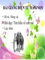 Bài giảng điện tử mầm non lớp Mầm đề tài Tìm hiểu về con Voi