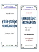 Kinh tế Qúa trình hòa hợp, hội tụ kế toán quốc tế và phương hướng, giải pháp của Việt Nam