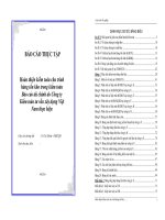 Hoàn thiện kiểm toán chu trình hàng tồn kho trong kiểm toán Báo cáo tài chính do Công ty Kiểm toán tư vấn xây dựng Việt Nam thực hiện
