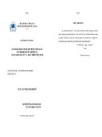 Kinh tế Giải pháp hoàn thiện hệ thống xếp hạng tín nhiệm doanh nghiệp tại Ngân hàng Đầu tư và Phát triển Việt Nam  Đỗ Thị Thúy Hương