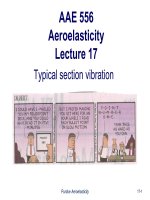 AAE556 lecture 17 Typical section vibration