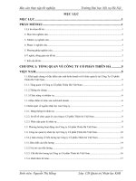 Báo cáo thực tập quản trị nhân lực: Hoàn thiện công tác trả lương tại công ty cổ phần thiên hà việt nam