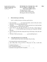 Đề thi môn Kinh tế thương mại Việt Nam và Đông Nam Á