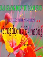 Bài giảng điện tử mầm non Lớp nhà trẻ đề tài Chủ đề thiên nhiên