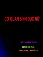 CƠ QUAN SINH DỤC NỮ