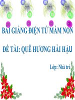 Bài giảng điện tử mầm non Lớp nhà trẻ đề tài Quê hương Hải Hậu