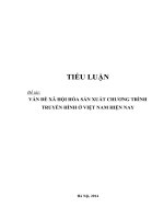 tiểu luận cao học vấn đề xã hội hóa sản XUẤT CHƯƠNG TRÌNH TRUYỀN HÌNH ở VIỆT NAM HIỆN NAY
