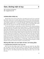 Gan, đường mật và tụy (chẩn đoán và điều trị y học hiện đại) 