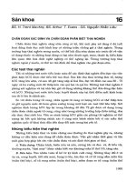 Sản khoa (chẩn đoán và điều trị y học hiện đại) 