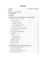 Sử dụng kỹ thuật khai phá dữ liệu để xây dựng hệ thống phát hiện xâm nhập trái phép 