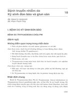 Bệnh truyền nhiễm do ký sinh đơn bào và giun sán (chẩn đoán và điều trị y học hiện đại) 