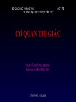 CƠ QUAN THỊ GIÁC, ĐẠI HỌC Y DƯỢC CẦN THƠ