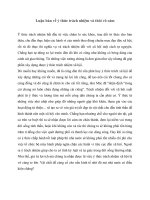 Luận bàn về ý thức trách nhiệm và thói vô cảm