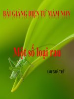 Bài giảng điện tử mầm non Lớp nhà trẻ đề tài Một số loại rau