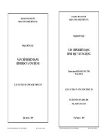 NẮN CHỈNH BIẾN DẠNG HÌNH HỌC VÀ ỨNG DỤNG