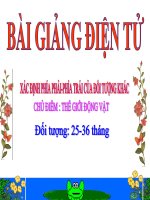 Bài giảng điện tử mầm non Lớp nhà trẻ đề tài Xác định trái phải của đối tượng