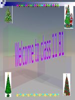 giáo án tiếng anh lớp 11 Unit 8 language focus