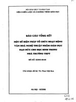Báo cáo tổng kết một số biện pháp tổ chức hoạt động văn hoá nghệ tổ chức hoạt động văn hoá nghệ thuật nhằm giáo dục đạo đức cho học sinh trong nhà trường THPT 