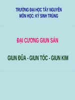ĐẠI CƯƠNG GIUN SÁN, GIUN ĐŨA GIUN TÓC GIUN KIM, MÔN HỌC KÝ SINH TRÙNG