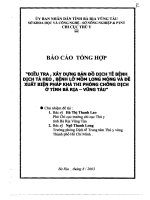 ĐIỀU TRA, xây DỰNG bản đồ DỊCH tễ BỆNH DỊCH tả HEO , BỆNH lỡ mồm LONG MÓNG và đề XUẤT BIỆN PHÁP KHẢ THI PHÒNG CHỐNG DỊCH ở TỈNH bà rịa   VŨNG tàu 