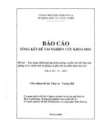 BÁO cáo TỔNG kết đề tài NGHIÊN cứu KHOA học 