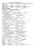 SAMPLE TEST FOR GCSE EXAMINATION,2014,2