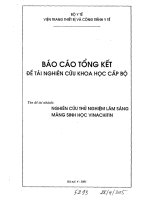 BÁO cáo TỔNG kết đề tài NGHIÊN cứu KHOA học cấp bộ 