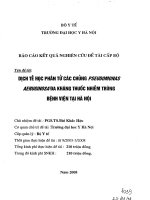 Dịch tễ học phân tử các chủng PSEUDOMONASAE RUGINO SADDA kháng thuốc nhiễm trùng tại bệnh viện hà nội 