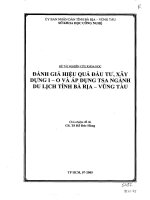 ĐÁNH GIÁ HIỆU QUẢ đầu tư, xây DỰNG i o và áp DỤNG TSA NGÀNH DU LỊCH TỈNH bà rịa VŨNG tàu 