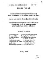 HOÀN THIỆN CÔNG NGHỆ sản XUẤT VIÊN NANG UPHAMORIN từ rễ và THÂN cây NHÀU làm THUỐC TĂNG CƯỜNG MIỄN DỊCH 