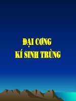 ĐẠI CƯƠNG KÝ SINH TRÙNG