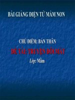 Bài giảng điện tử mầm non lớp Mầm đề tài Truyện Đôi mắt