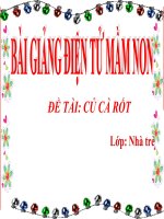 Bài giảng điện tử mầm non Lớp nhà trẻ đề tài Củ cà rốt