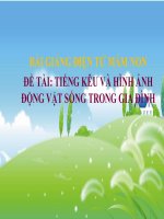 Bài giảng điện tử mầm non Lớp nhà trẻ đề tài Tiếng kêu và hình ảnh động vật sống trong gia đình