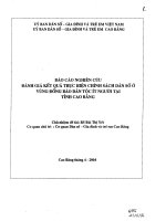 BÁO cáo NGHIÊN cứu ĐÁNH GIÁ kết QUẢ THỰC HIỆN CHÍNH SÁCH dân số ở VÙNG ĐỒNG bào dân tộc ít NGƯỜI tại TỈNH CAO BẰNG 