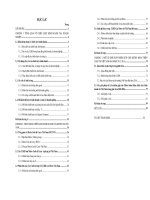 Luận văn thạc sĩ quản trị kinh doanh Chiến lược kinh doanh của Metro tại thị trường Việt Nam