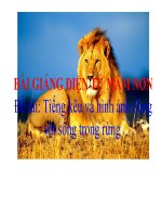 Bài giảng điện tử mầm non Lớp nhà trẻ đề tài Tiếng kêu và hình ảnh động vật sống trong rừng