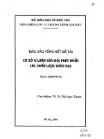 Cơ sở lý luận của việc phát triển các chiến lược giáo dục 