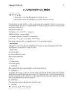 Chương 2 chi trên giải phẫu học, đại học y dược huế 