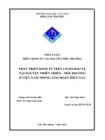 Phát triển kinh tế trên cơ sở bảo vệ TNTN  môi trường ở việt nam trong giai đoạn hiện nay