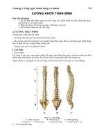 Chương 4  lồng ngực, thành bụng, cơ hoành giải phẫu học, đại học y dược huế