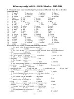 decuong ANH 10 HK2 13  14 MÔN TIẾNG ANH